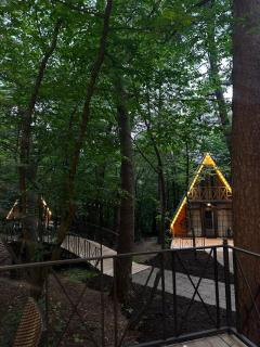 Dendro Art Resort - 8