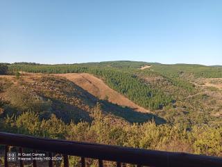 The Kingfisher Lodge - 4