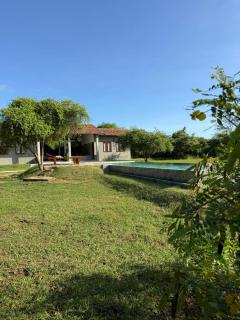 Wild loch yala - 8