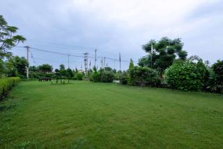 Treebo Premium Truva - 5