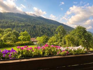 Baumgartnerhof Arriach - Urlaub am Bauernhof - 1