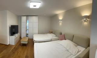 Schöne 2-Zimmer-Souterrainwohnung mit Terrasse - Offenburg - 6