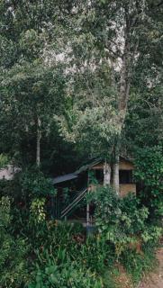 Fab - Bamboo Hut with Open Shower - Munnar - 0