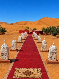Nomads Luxury life camp - 0
