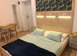 Wygoda Cozy Studio - 0