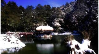 Alishan Shermuh Hotel - 8