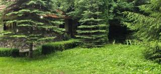 Dacha Green House - 9