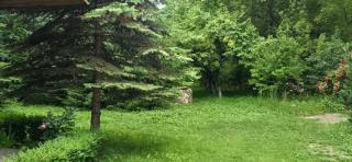 Dacha Green House - 8