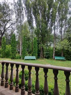 Dacha Green House - 5
