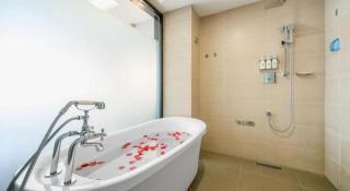 Lavande Hotel Leshan High-Speed Rail Station Wanda Plaza Branch - 9