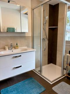 Appartement Heimathafen - Neubau in 8972 Ramsau am Dachstein - 8