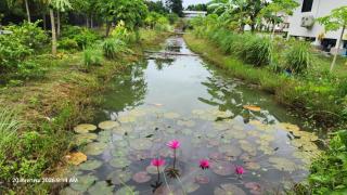 ตะวันวิลเลจ - Ban Khlong Yang - 7
