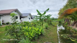ตะวันวิลเลจ - Ban Khlong Yang - 6