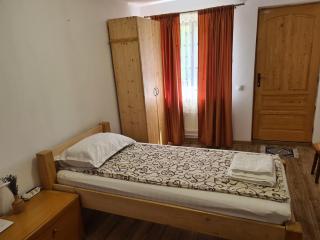 Casa de la țară Albinuța Călătoare - 3