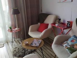 F2 au pied des pistes avec WiFi et parking - FR-1-295-202 - 3
