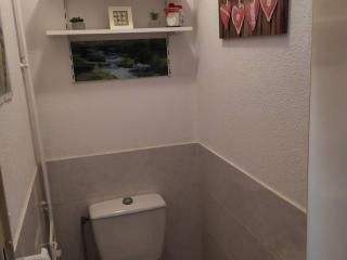 F2 au pied des pistes avec WiFi et parking - FR-1-295-202 - 1