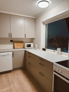 Arctic Haven Apartment - 3