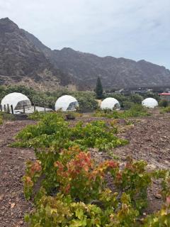 Sodade Eco Camp - 9