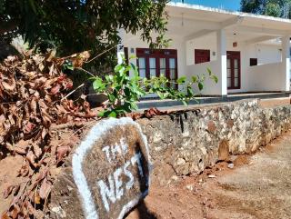 The Nest - Ella - 7