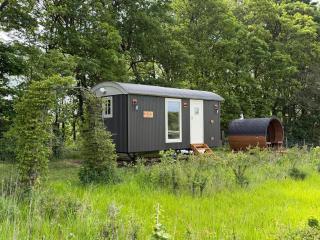 Fiddleneck Lane Shepherds Hut & Sauna - 9