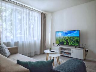 Cosy Elegant Apartment - 2