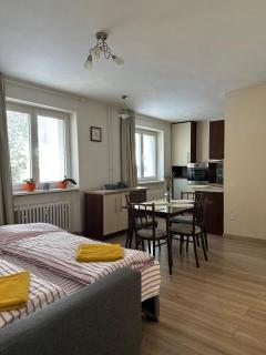 Apartment SNP Dolny Kubin - 3