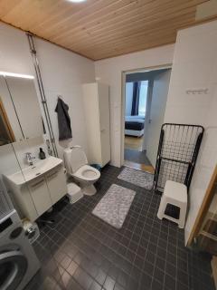 A three-room apartment with a sauna near the center - 3