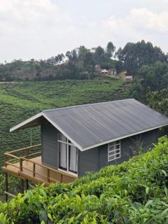 Mukiza Gorilla Lodge - 3