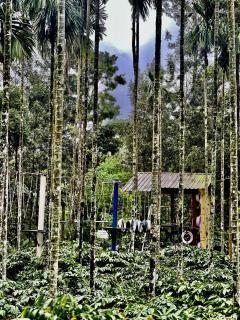 Familystay by Bilwa estate Jammanahalli Saklespur - 8