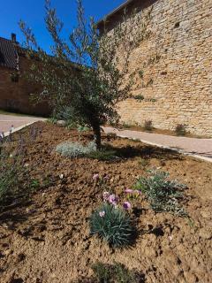 L Atelier du Theatre Guest House - 6