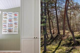4739-Aakirkeby-Boderne-86 - 3