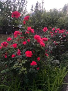 Guest House Anna - 8