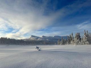 Montain Cabin - high standard, Haglebu - 11 beds - 4