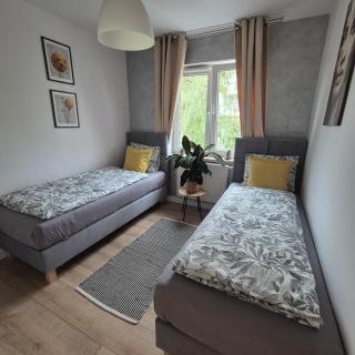 Komfortowy Apartament z Dwiema Sypialniami - 3
