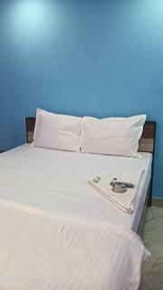A2 Guest house Chinar park - 0