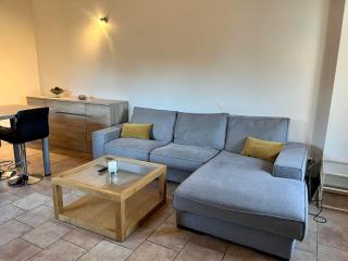 Appartement spacieux et lumineux - 4