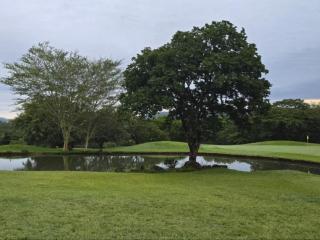 Kruger park lodge 503 - 1