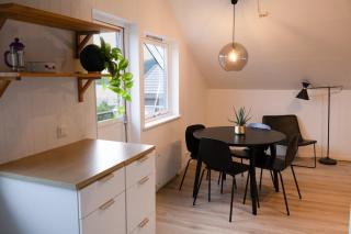 Modern apartment with free parking near the city center - 1