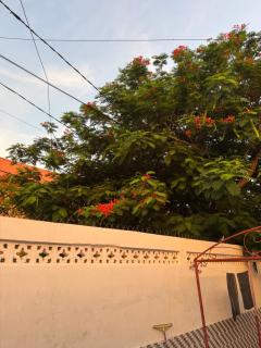 Sonu Hostel Saly - 3