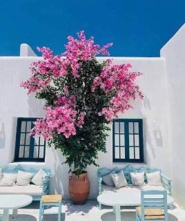 Spacious Family Twin House Overlooking the Lagoon - 9