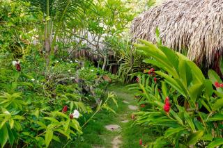 Jungle Hut near Beach - Nature Lovers - Las Terrenas - 1