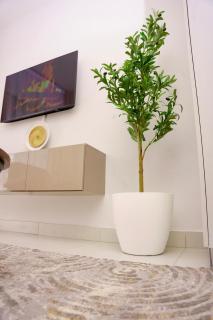 Myra Suites Sarona - 2