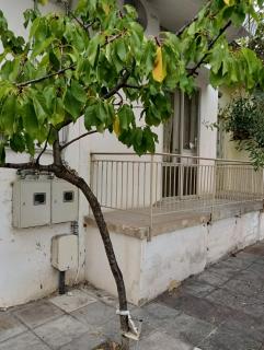 Vassiliki Guest Haus - 1