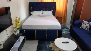 BimaExacutiveHomes Studio Mombasa - 6