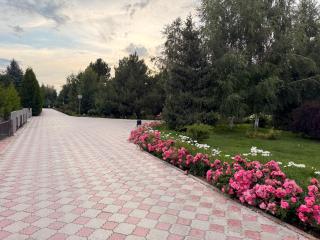 клуб-отель Royal-Beach - 8