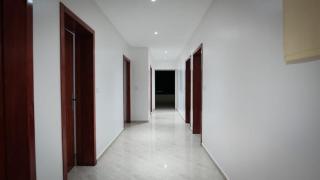 Lemonia Farm - 9