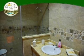 Lemonia Farm - 1
