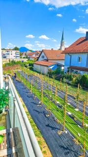 EG M 70m2 City Wohnung 15min bis Salzburg - 1
