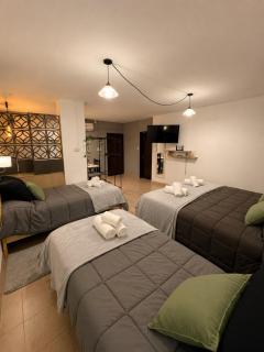 Plaza Suites Catamarca - 5