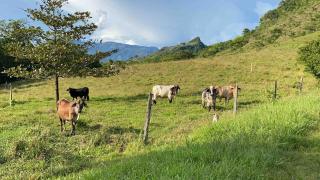 Accommodation Suroeste Antioqueno Tarso View Rio Cauca - 2